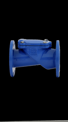 SFCV নমনীয় আয়রন চেক ভালভ QT450 PN16 PN10 রাবার সিট চেক ভালভ
