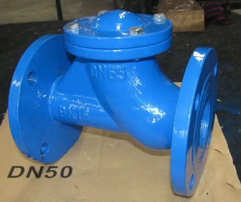 Ggg50 DIN নমনীয় ফ্ল্যাঞ্জড সুইং চেক ভালভ