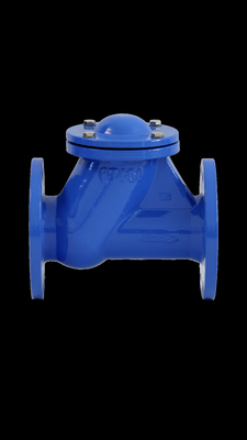 BS DIN বল চেক ভালভ রাবার আসন GGG50 PN16 QT450 বর্জ্য জল তেল গ্যাস