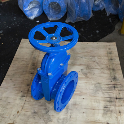 Pn16 Pn10 QT450 GGG40 ইলাস্টিক সিট গেট ভালভ থ্রেডেড হ্যান্ডহুইল কপার ওয়্যার ইনার