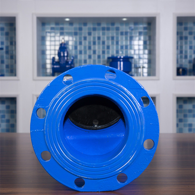 GGG50 GGG40 রাবার ফ্ল্যাপ চেক ভালভ PN10 DN600 QT450 সুইং টাইপ নন রিটার্ন ভালভ