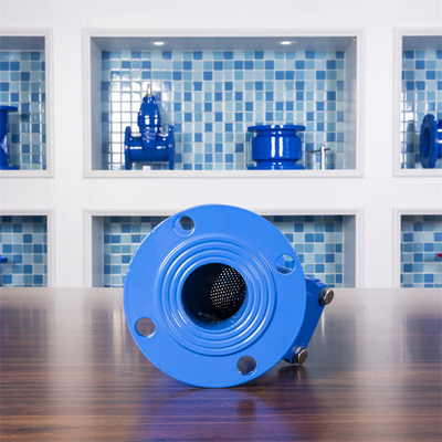QT450 Flanged Y টাইপ স্ট্রেইনার GGG50 DN600 ইন্ডাস্ট্রিয়াল কাস্ট আয়রন ফিল্টার