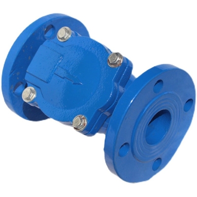 Flanged F6 নন রিটার্ন সুইং চেক ভালভ নমনীয় কাস্ট আয়রন PN10 PN16