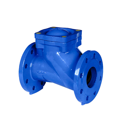 DIN F6 কাস্ট আয়রন সুইং চেক ভালভ GGG50 QT450 রাবার ফ্ল্যাপার সুইং চেক ভালভ