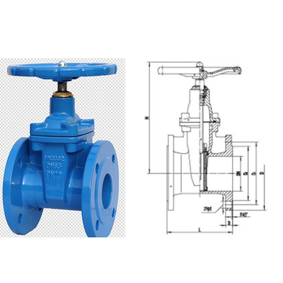 anticorrosion ফ্ল্যাঞ্জ টাইপ গেট ভালভ DN 100 SGS টেস্ট রিপোর্ট সহ